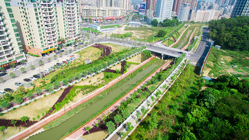 博羅縣城江東河水清岸綠工程
